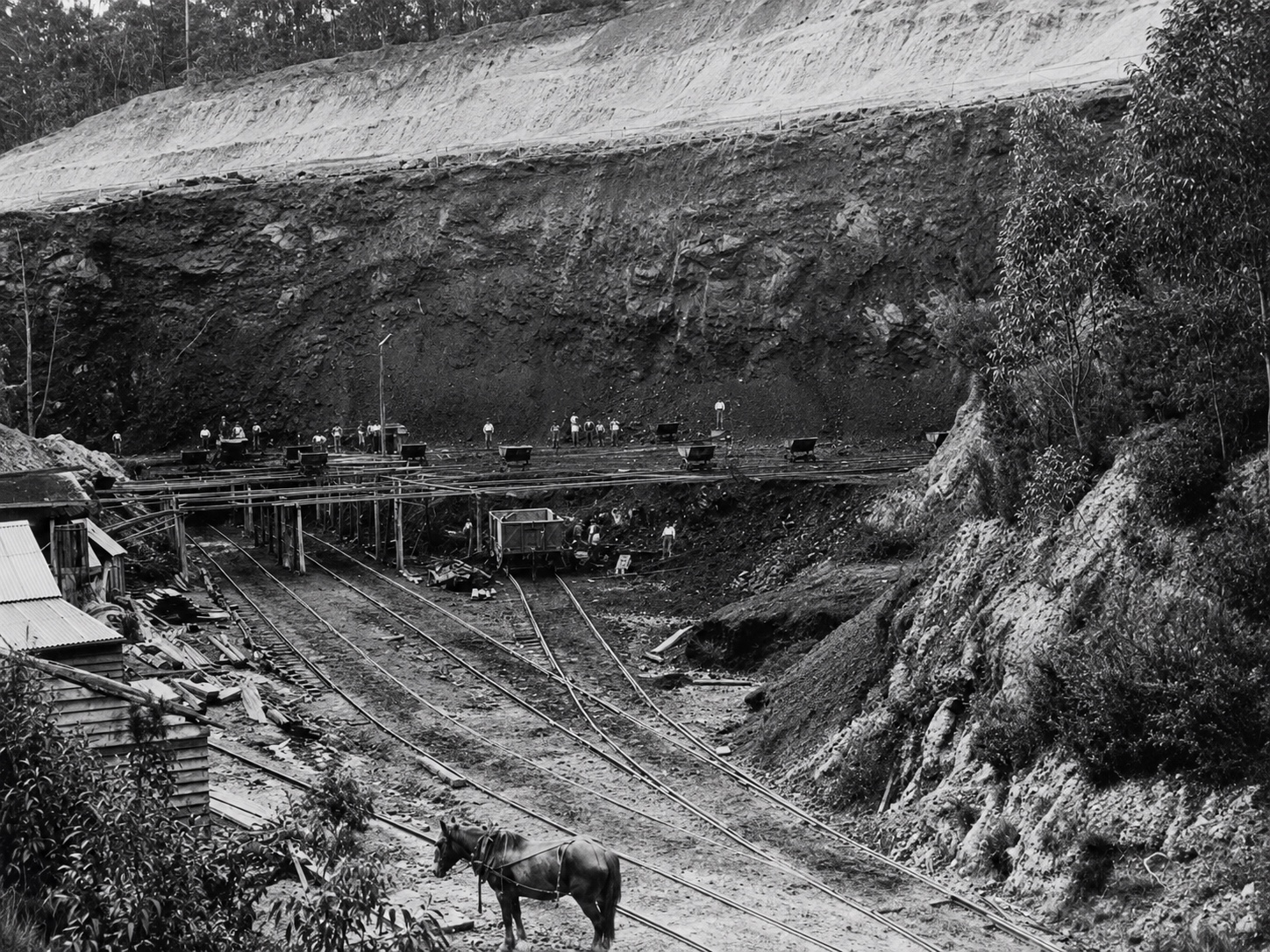Restored black-and-white photograph of workers, mine wagons, narrow-gauge tracks and a harnessed horse within the early Morwell Brown Coal Mine open cut.