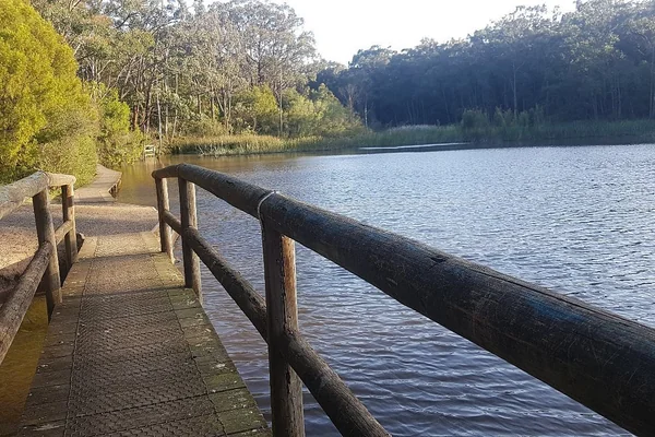 Experience Edward Hunter Heritage Bush Reserve