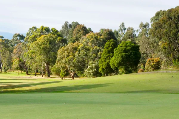 Experience Morwell Golf Club