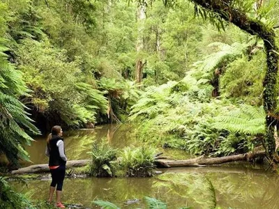 Morwell National Park