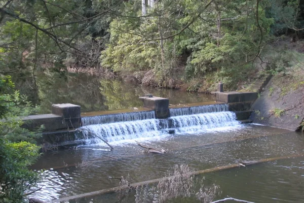 Visit Wirilda Track to Moondarra Dam