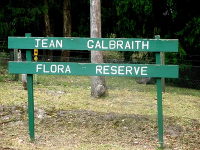 Jean Galbraith Flora Reserve Walk