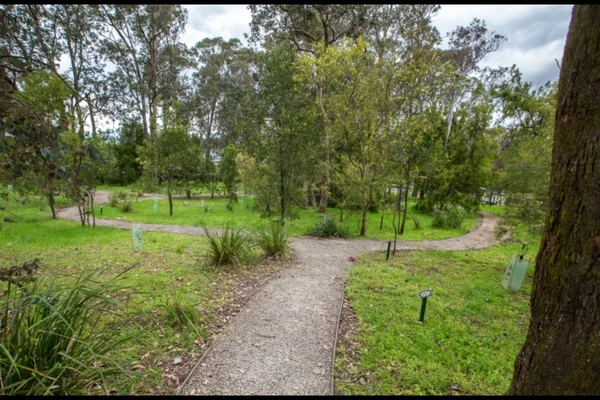 Experience Jean Galbraith Flora Reserve Walk
