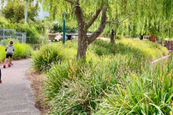Visit Jean Galbraith Flora Reserve Walk