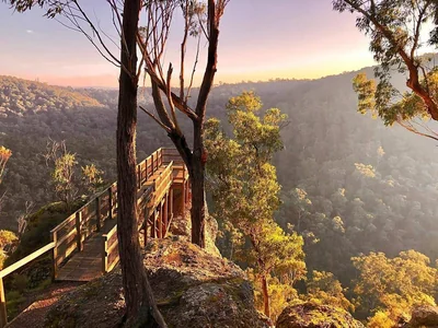 Petersons Lookout
