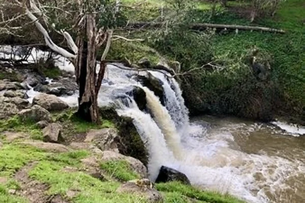 Visit Narracan Falls
