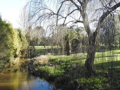 A creek winding beneath established trees in Moe Botanic Gardens