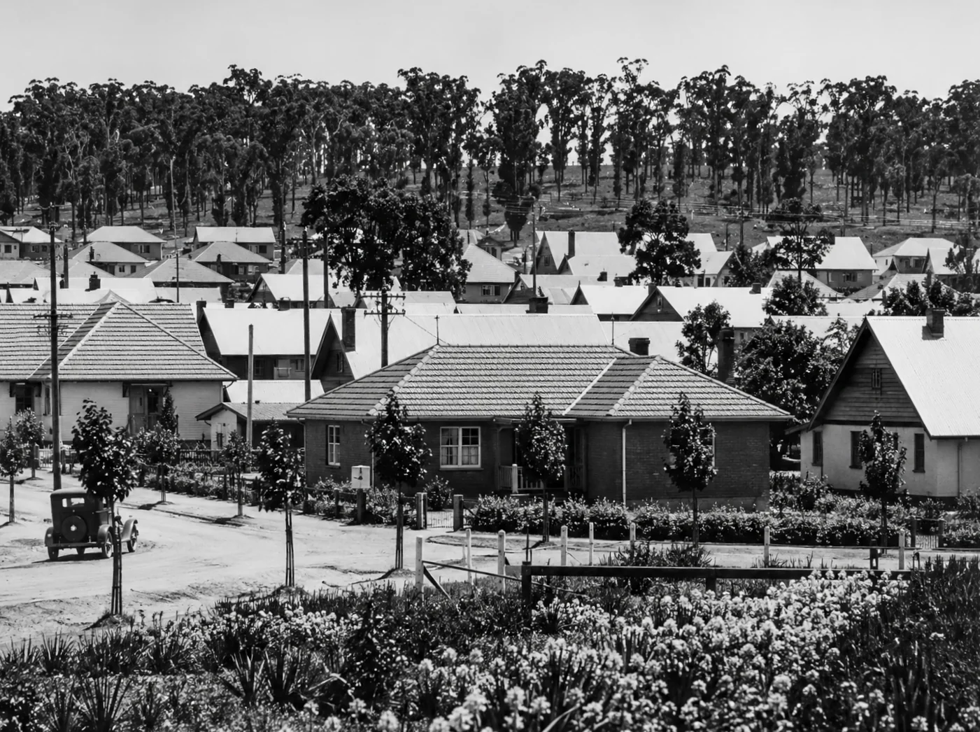 Black-and-white view of houses and gardens with tall trees on the hillside beyond.