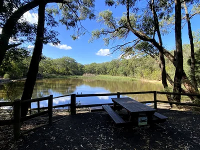A narrow path passes through dense green vegetation in Edward Hunter Heritage Bush Reserve.