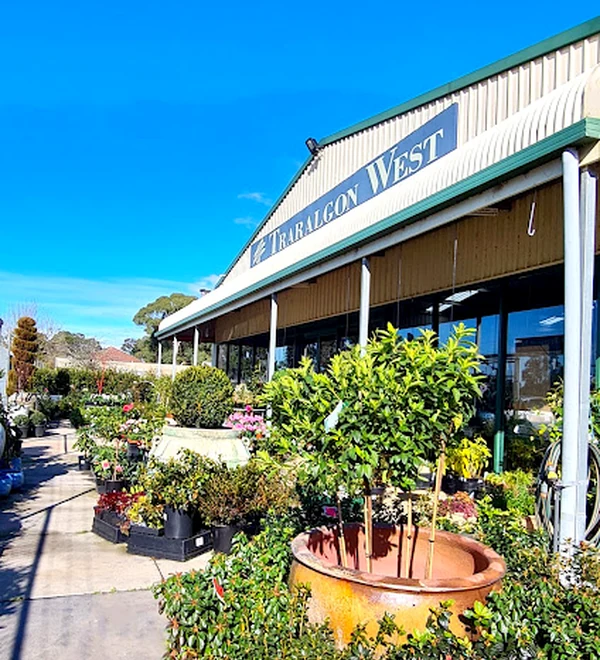 Colourful plants and potted trees line the covered frontage of Traralgon West Nursery beneath a bright blue sky.