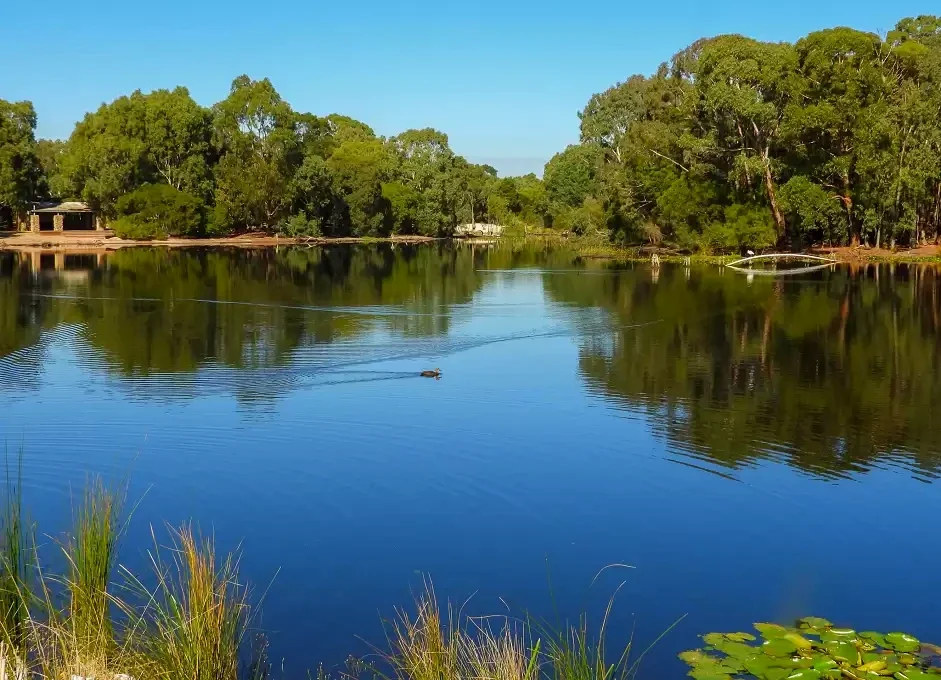 Open water mirrors the tree-lined banks of Traralgon Railway Reservoir Conservation Reserve.