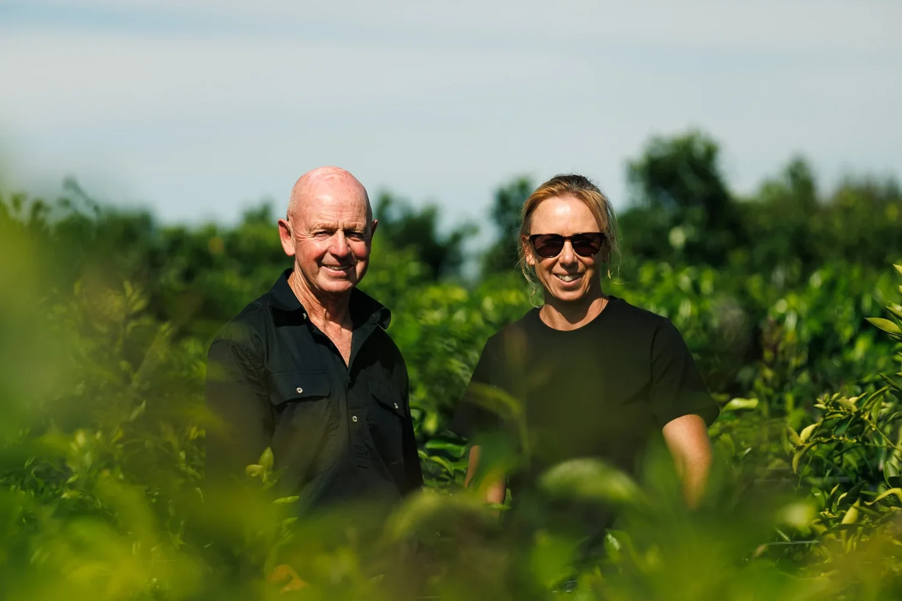 Two nursery growers in black shirts stand together among rows of green trees.